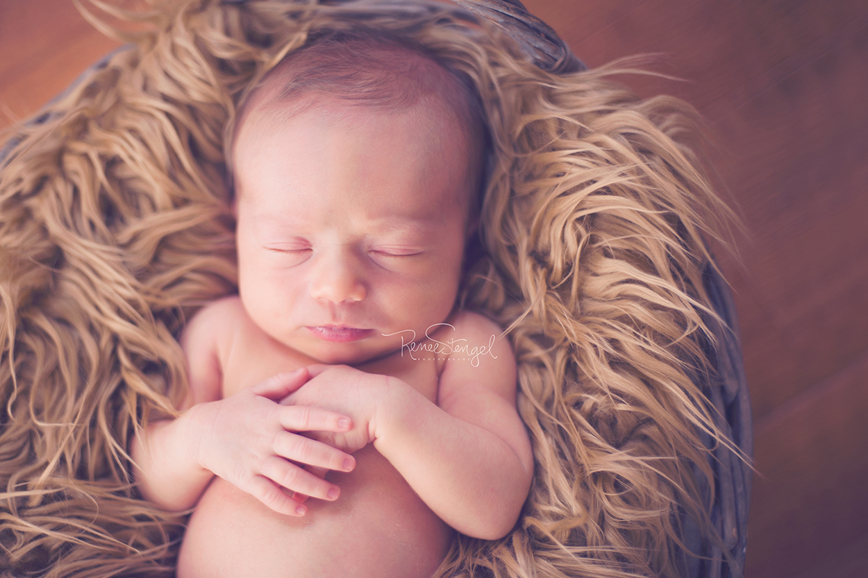 Sleeping newborn on brown fur in a basket