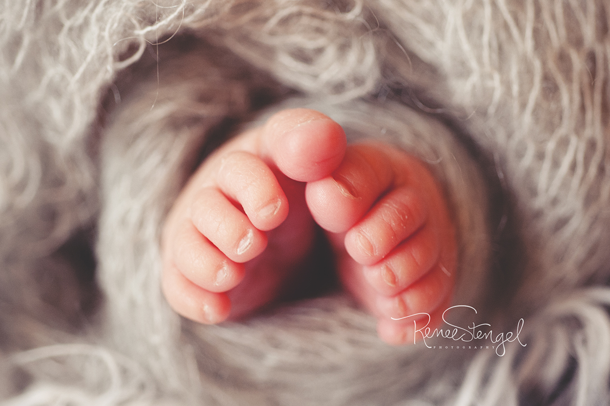 Newborn Toes Macro Image