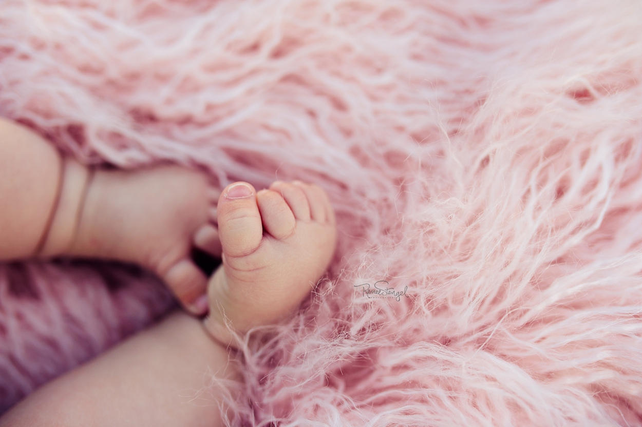 RENEE STENGEL Photography | Charlotte Portrait and Underwater Photographer | Six Month Milestone Baby Toes in Pink