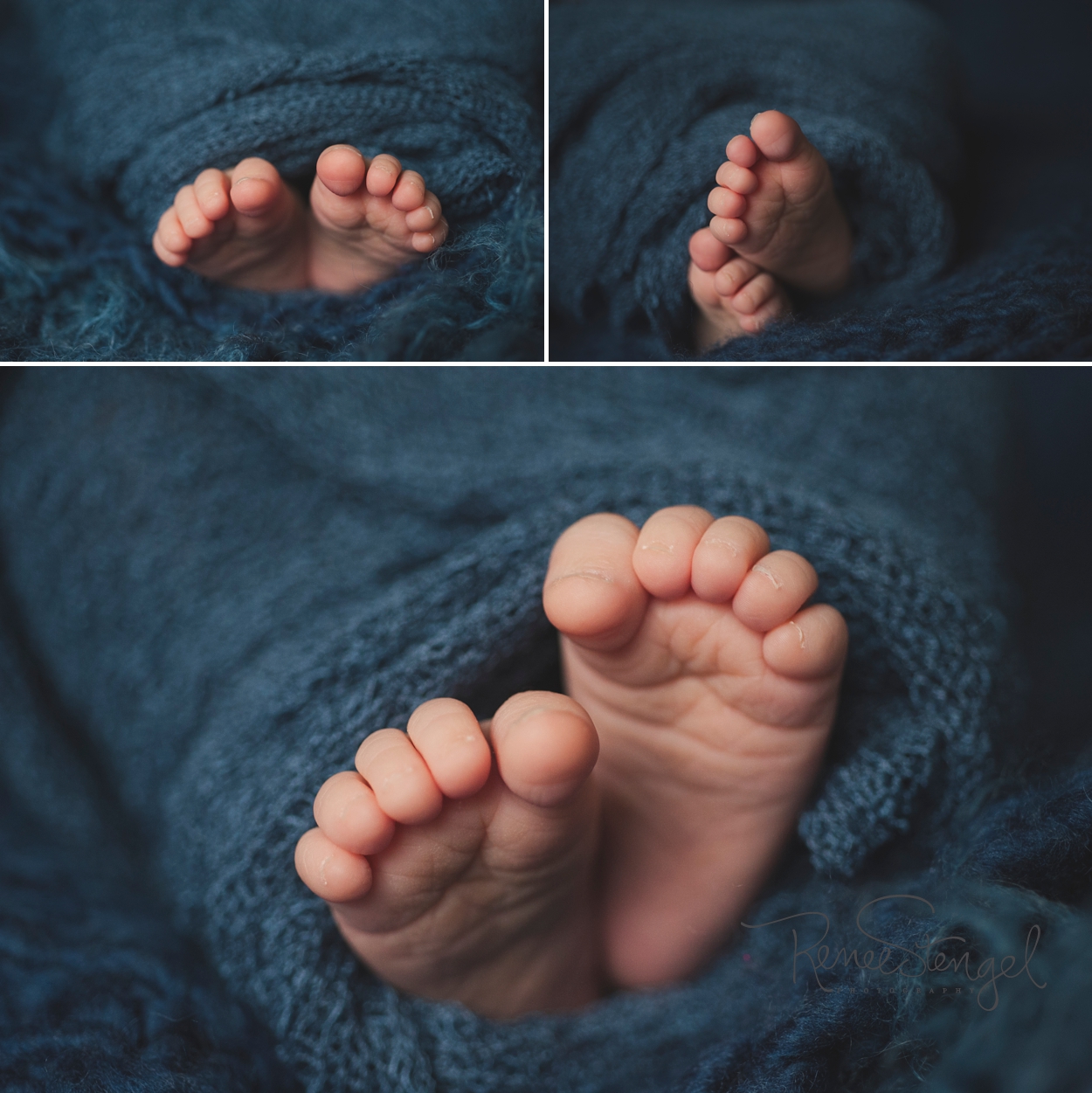 Newborn toes swaddled in blue by RENEE STENGEL Photography | Charlotte Portrait and Underwater Photographer