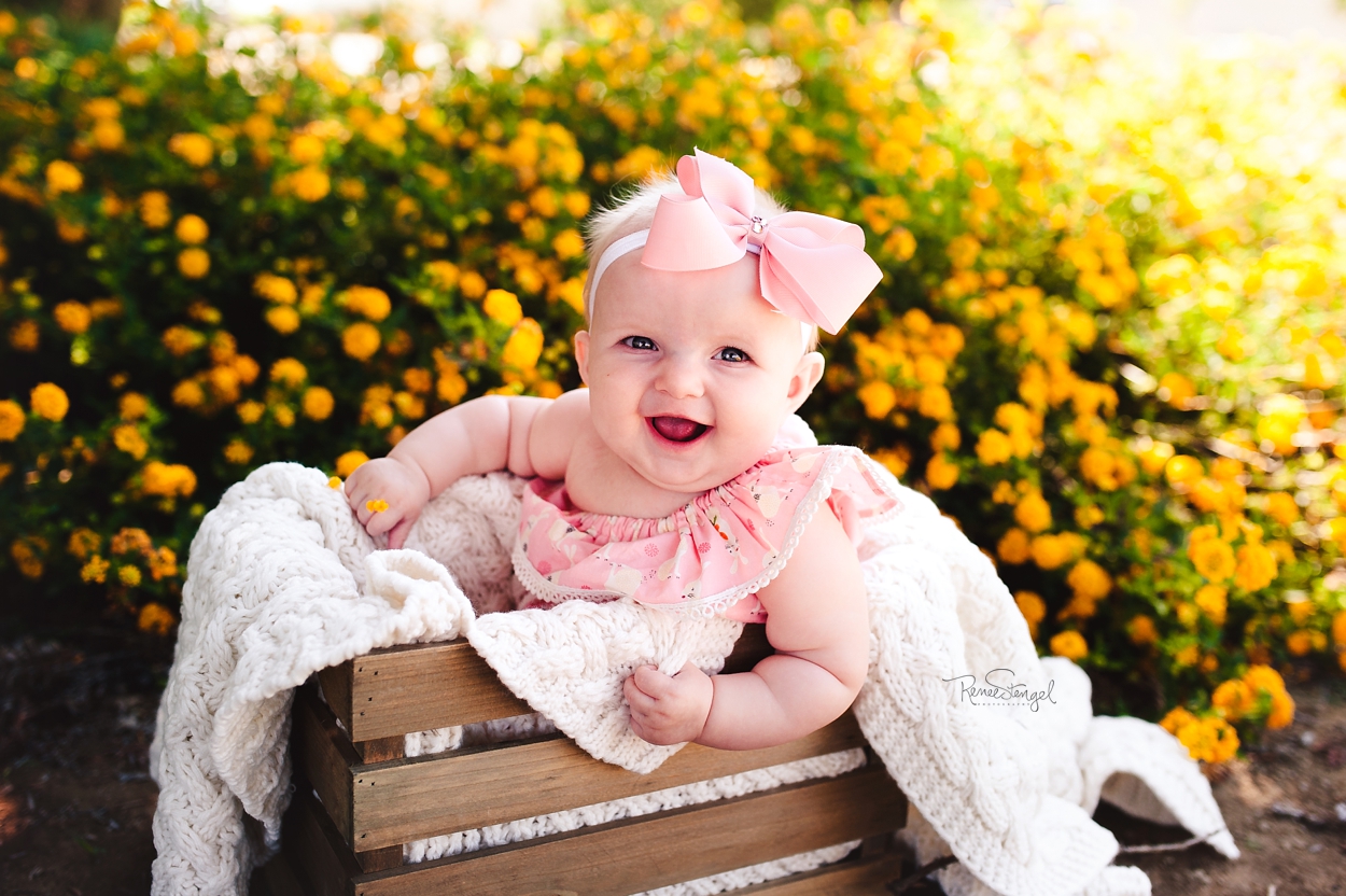 RENEE STENGEL Photography | Charlotte Portrait and Underwater Photographer | Six Month Baby Milestone in Pink with Yellow Lantana