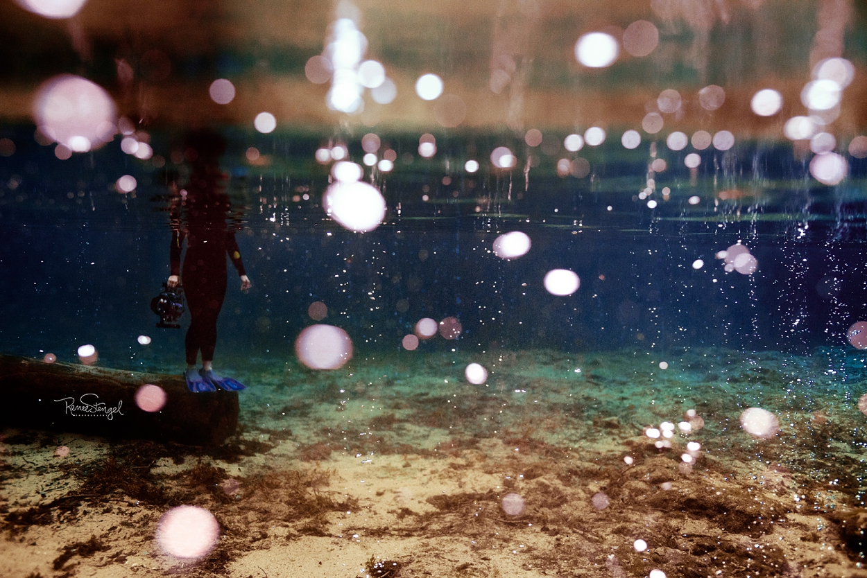 Ginnie Springs Freediver Underwater View