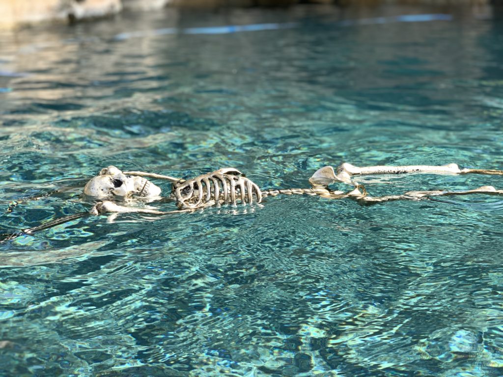 Bob the gold skeleton loved to float around the pool during our Dead Men Tell No Tales Skeleton Mermaid Session for Finfolk Mermaids!