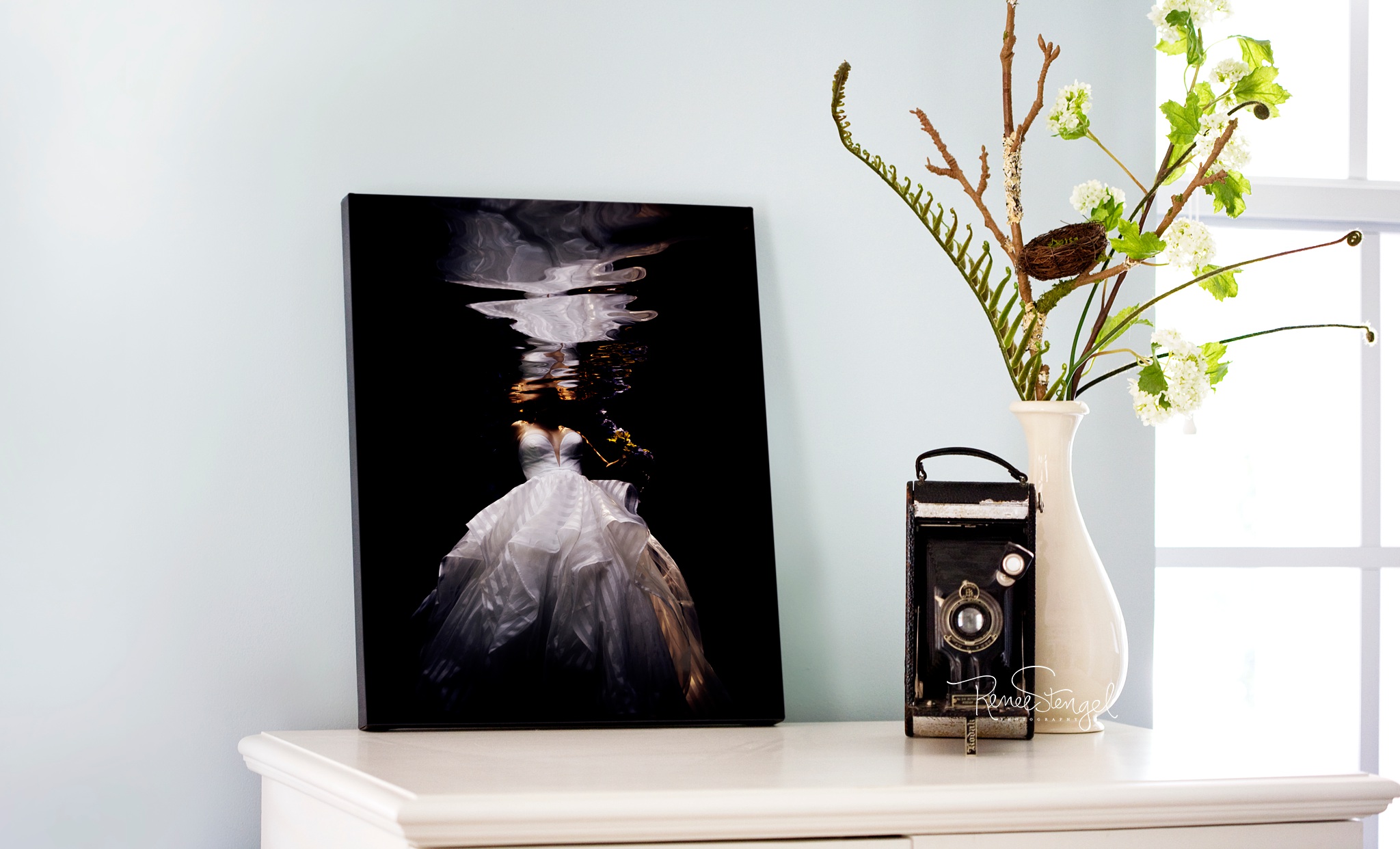 Underwater Art for your Home can be displayed in many beautiful ways.