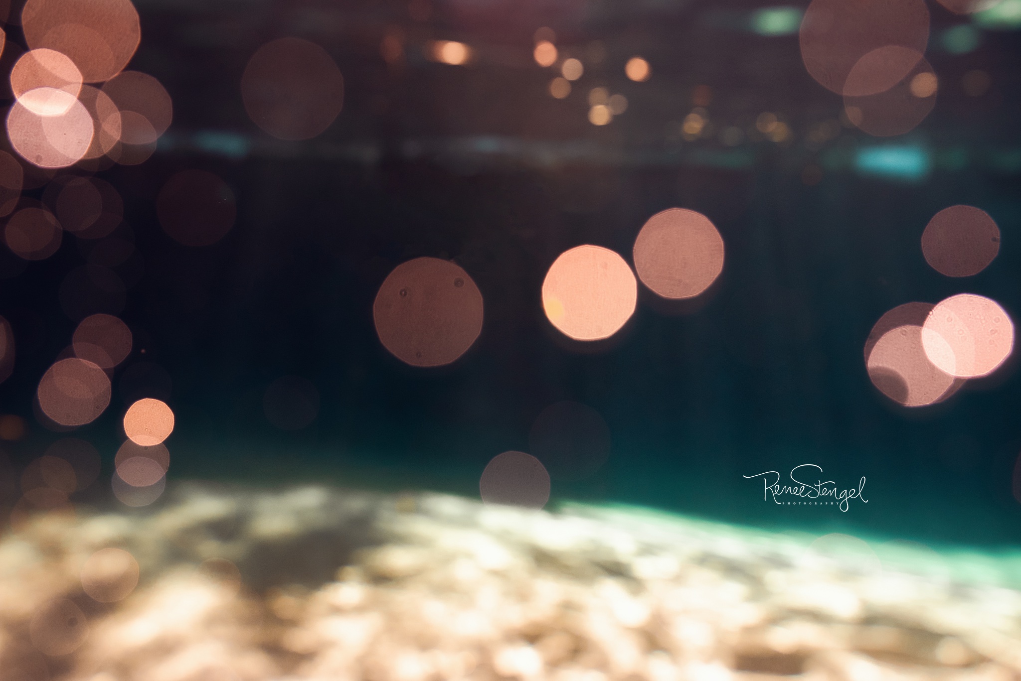 Underwater Light Reflecting on bottom of swimming pool to create bokeh bubbles | Renee Stengel Photography Underwater Portrait Photographer Charlotte NC